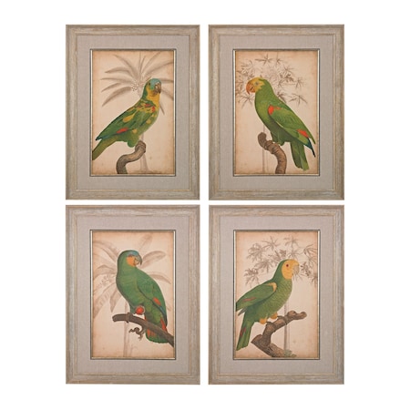 Parrot And Palm I, II, III, IV, Fine Art Giclee Under Glass